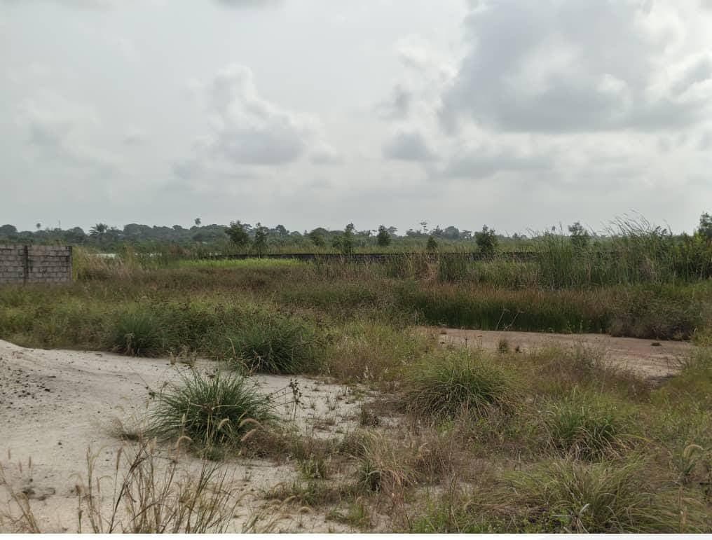 1100sqm Plot of Land for Sale at Sangotedo, Lagos