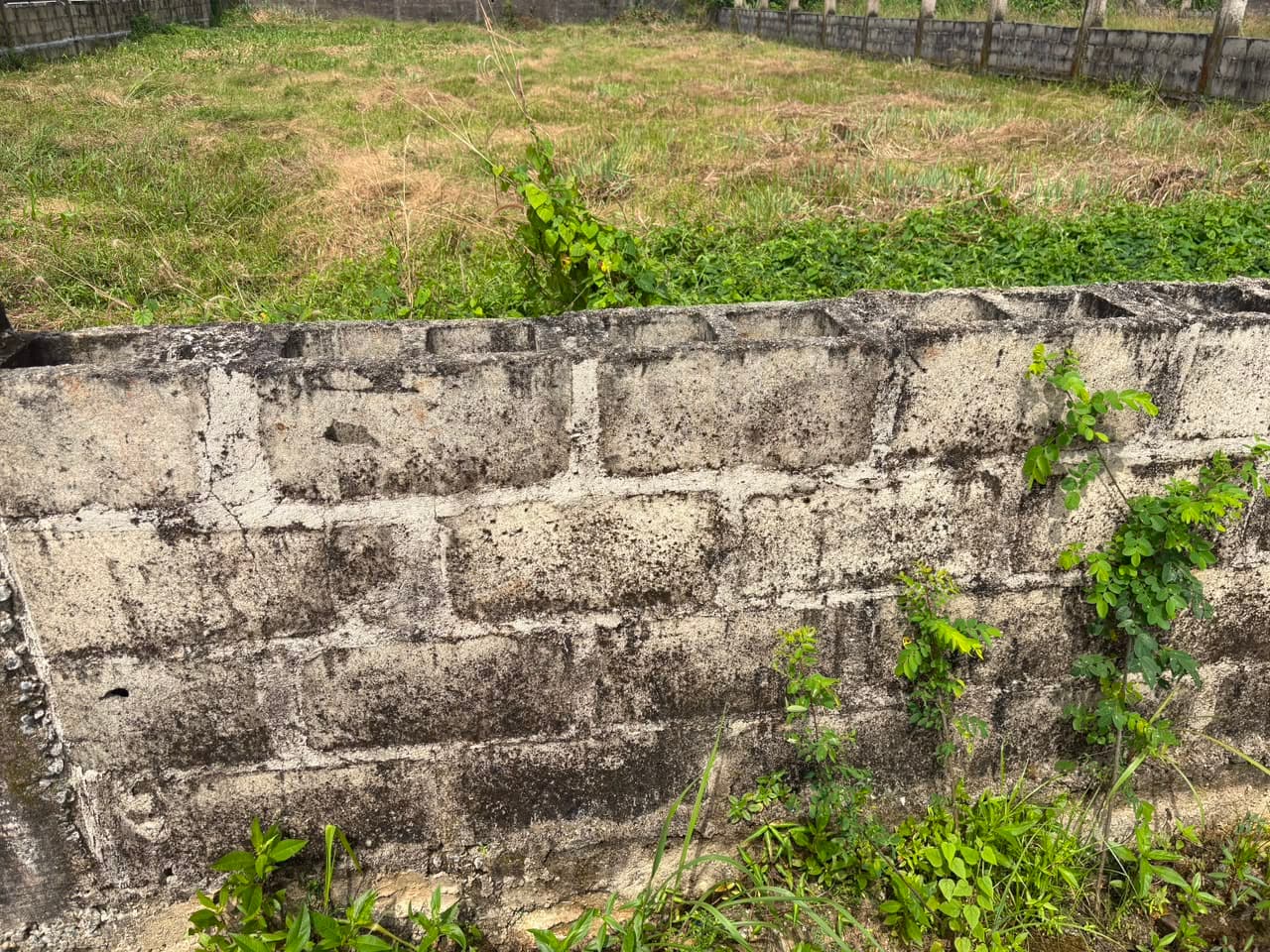 800sqm Fenced Land — Monastery Road, Sangotedo, Ajah