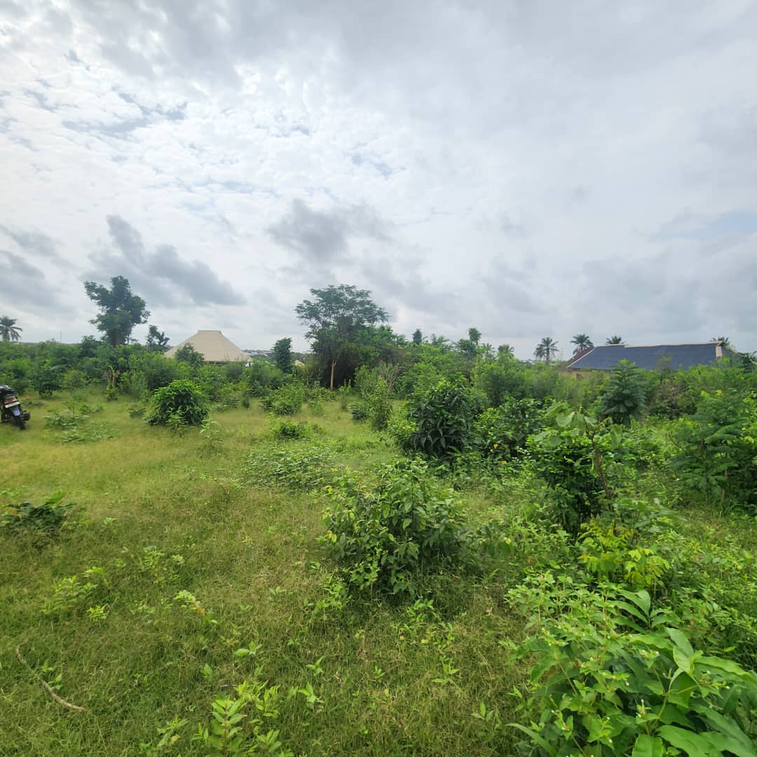 Land for Sale in Alabata, Moniya, Ibadan - 4